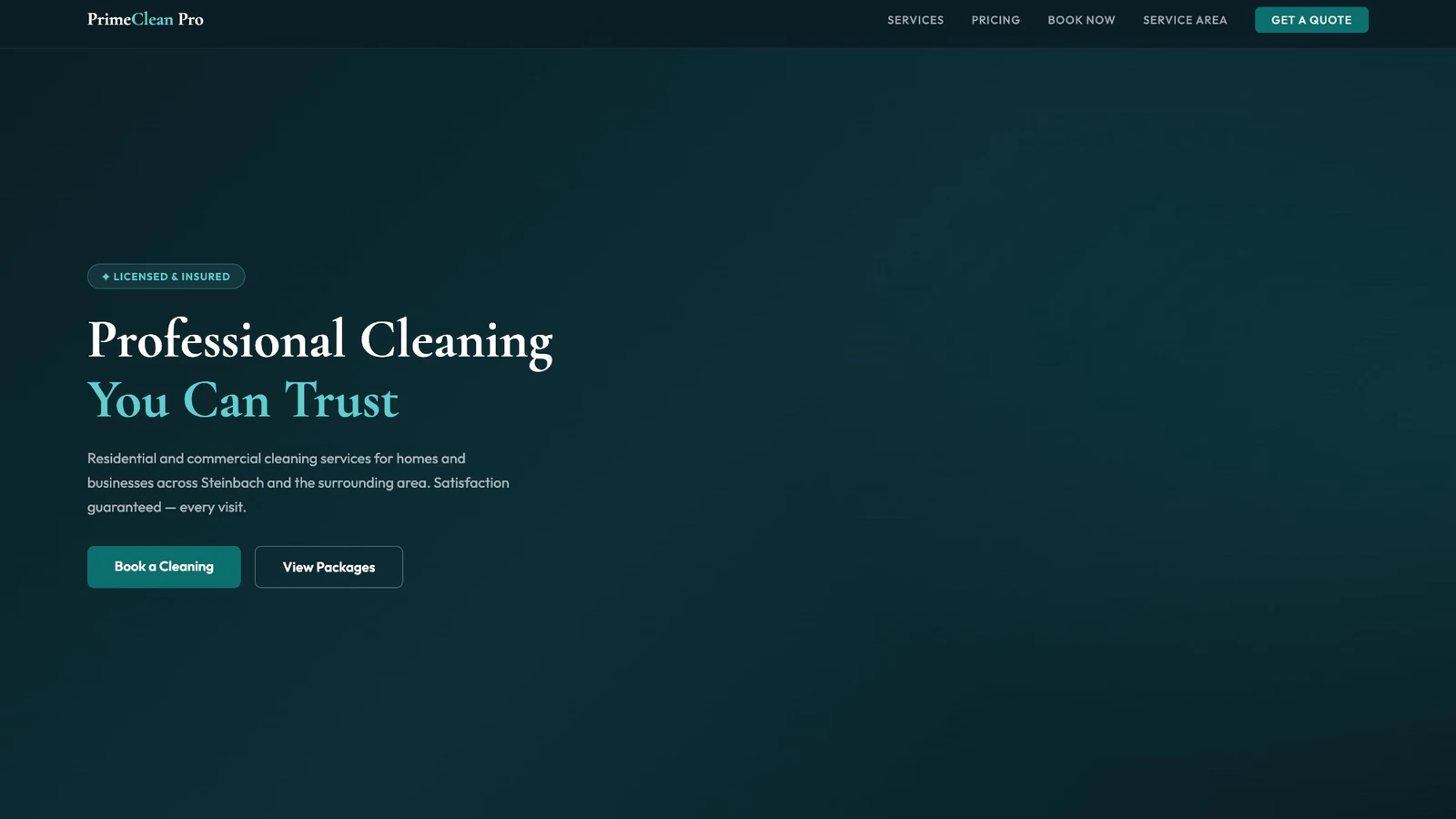 PrimeClean Pro website preview — cleaning service example